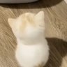 Valerie_127