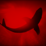 GavinXshark