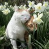 loulou127