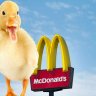 McDuckie