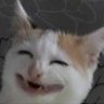 xmqriam