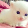 Cute_Lola