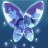 AnimeShadows