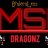 WSIDragonz