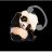 PandaGaming06JGA