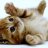 Catharina_Chen