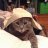 kipcat