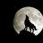 Night170Wolf
