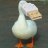 Donaldduck2468