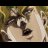 charlesplayz579