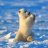 VerzideBearᵔᴥᵔ