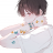iBims1Sky