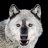 GloryWolf