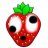 BerryBoo