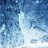 WolfieShadow107