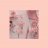 PriStiN