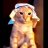 CoolBoy_16_