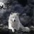 Cookie_Andreea_Queen