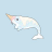Narwhal