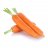 Carrot_Man95