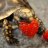 TurtlesAreCute