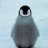 Penquin