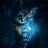 Angi_MSG