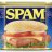 spam