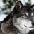Darkwolf