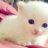 Cute_Lola