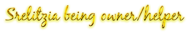 5184463.png