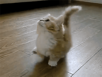 source.gif