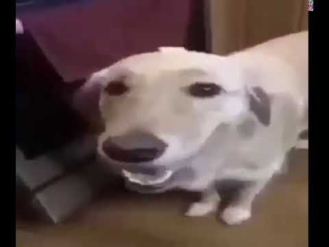 hqdefault.jpg