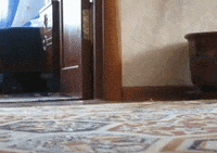 200w.gif