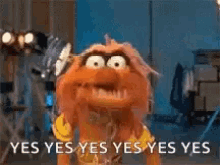 animal-muppets.gif