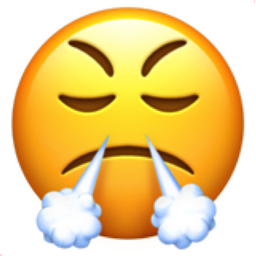 face-with-steam-from-nose.png
