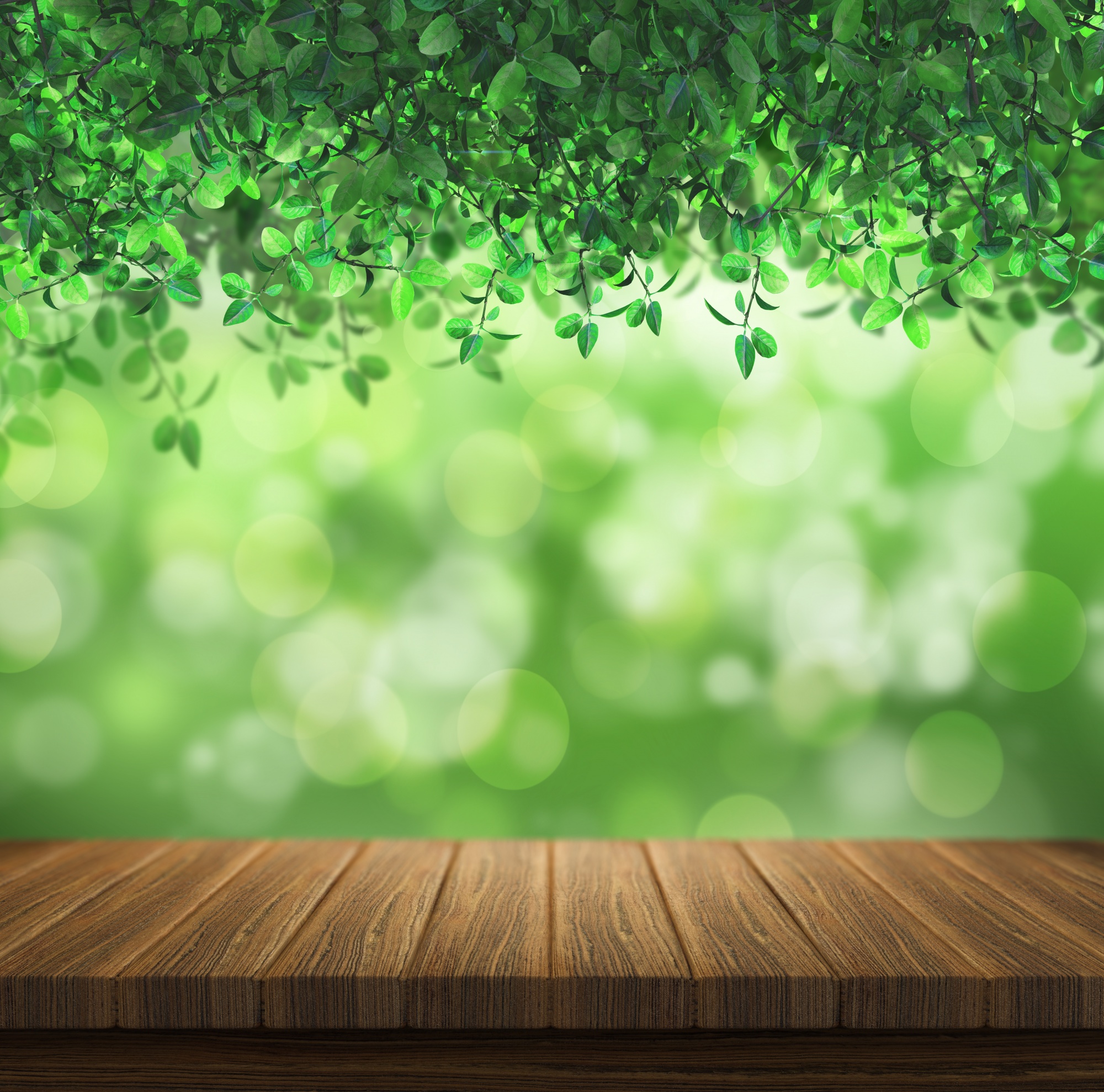 nature-design-with-bokeh-effect_1048-1882.jpg