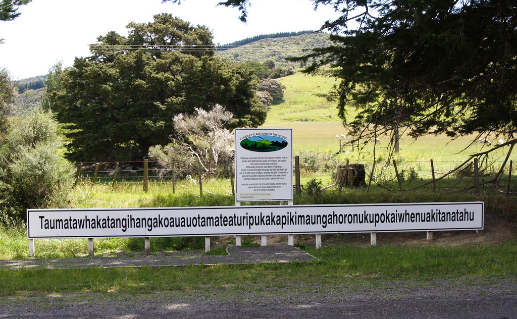 349958132_159a439758_b.jpg