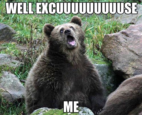 0f29c2648af6789228490ca358fe4d2f--bear-meme-funny-cute.jpg