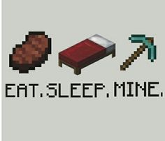 866f10469856b685ab80b19bf063e9d9--minecraft-quotes-eat-sleep.jpg