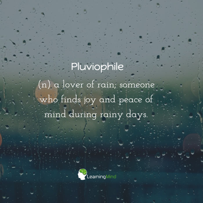 Pluviophile.jpg