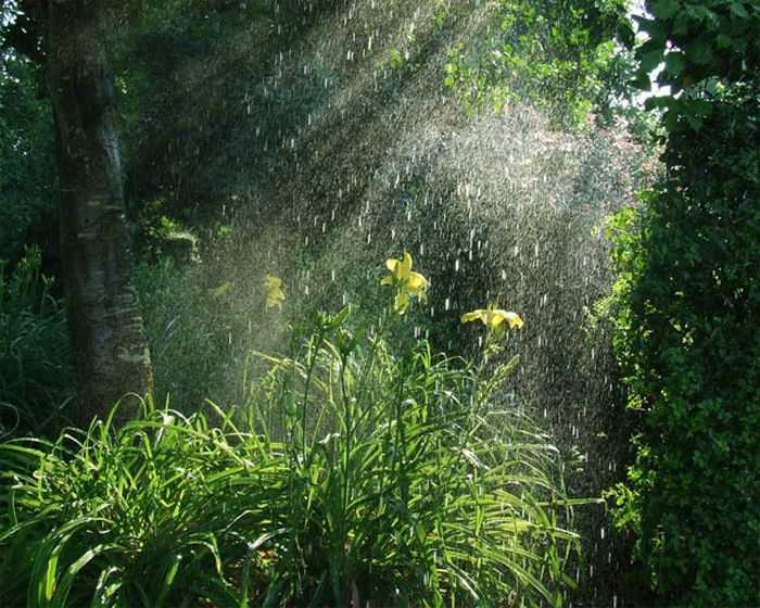 beautiful_photographs_of_rain_23.jpg