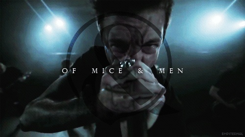 tumblr_n1qdbdzeVl1rmxdkto1_500.gif