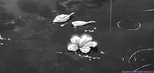 f1bc8744b48ad414dd666cc55d127b44.gif