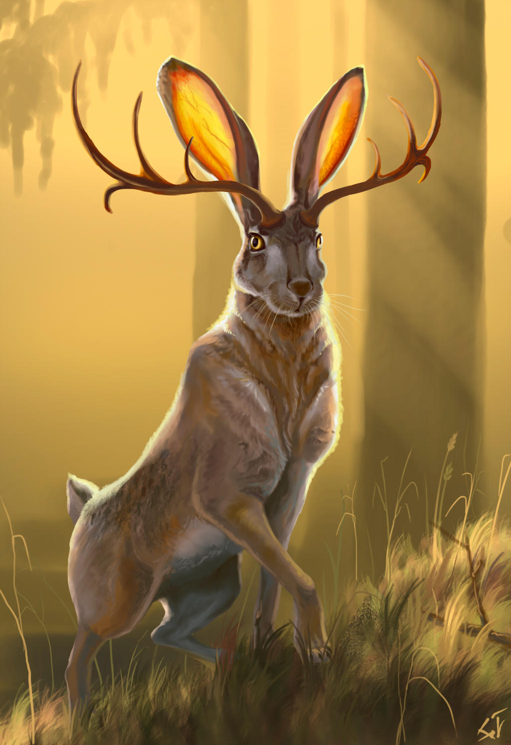 Jackalope-pictures-Are-Jackalopes-Real.jpg