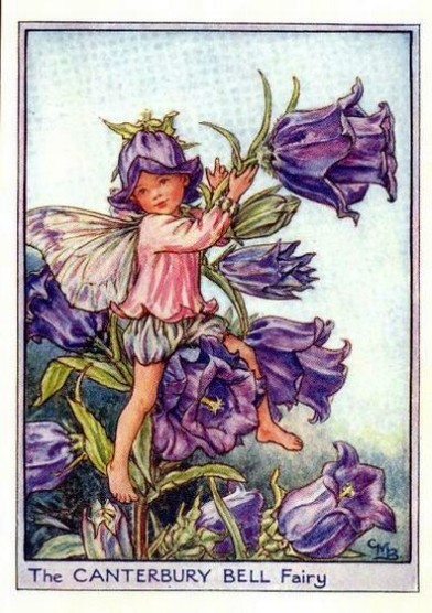 Canterbury-Bell-Flower-Fairy.jpg