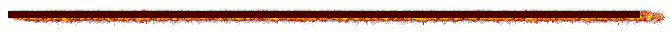 5119549.gif