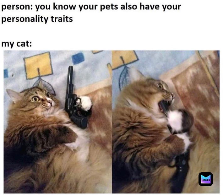 1602175608991.jpg
