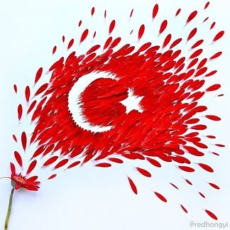 66166d004e6b2b237ec0748ed3e1e9cf--turkey-flag-art-projects.jpg