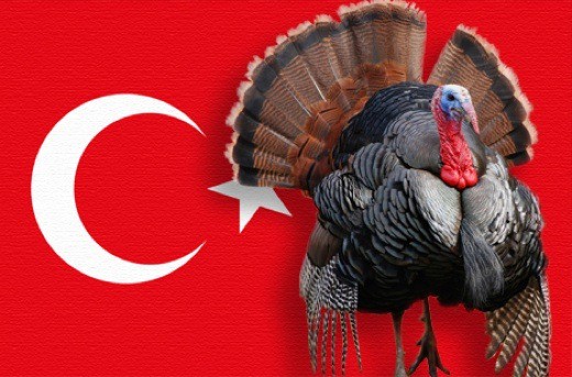 turkey-2.jpg